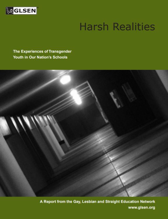 Cover of "Harsh Realities"