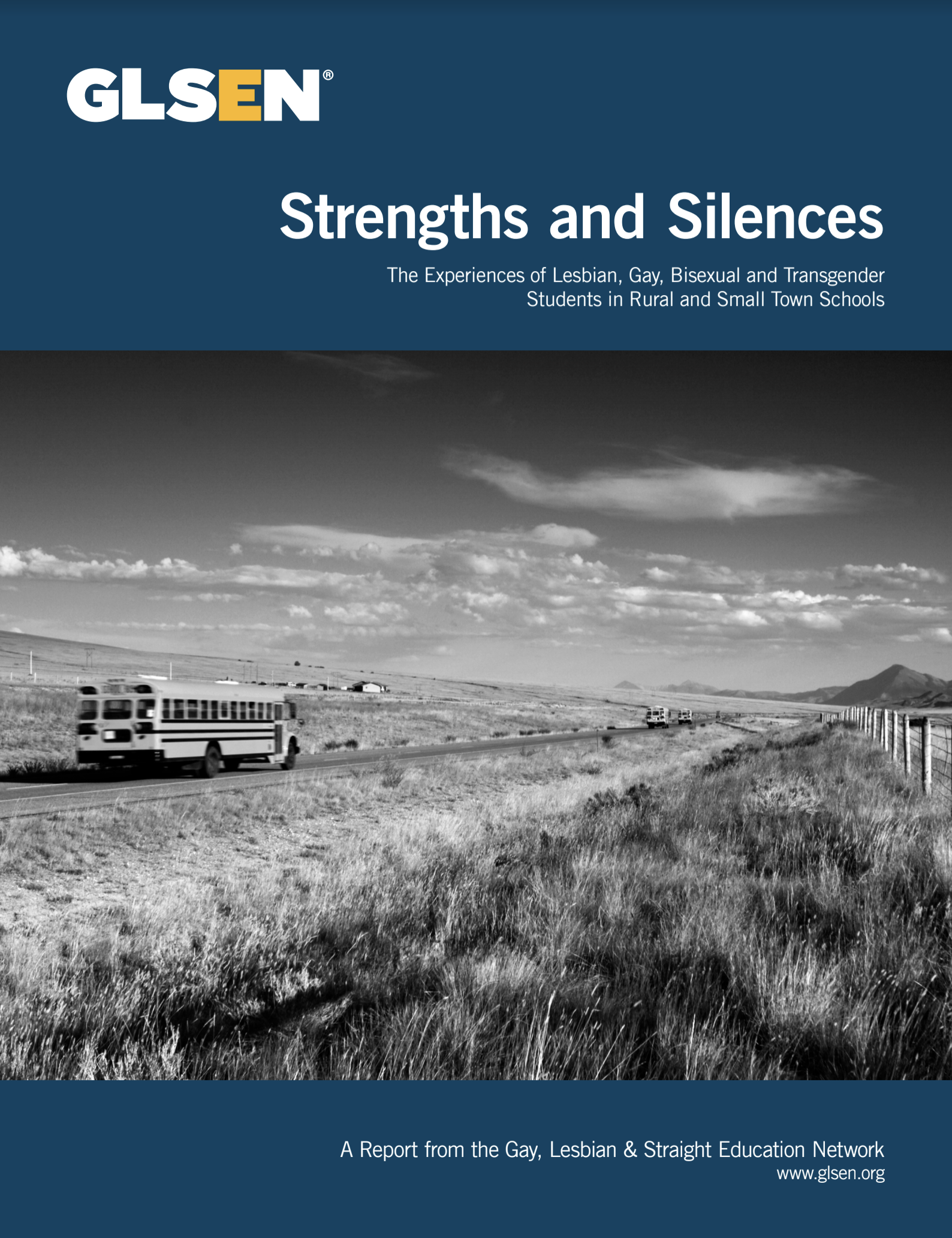 Cover of "Strengths and Silences"