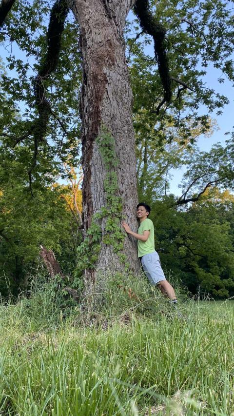 Person hugging a giant tree. 